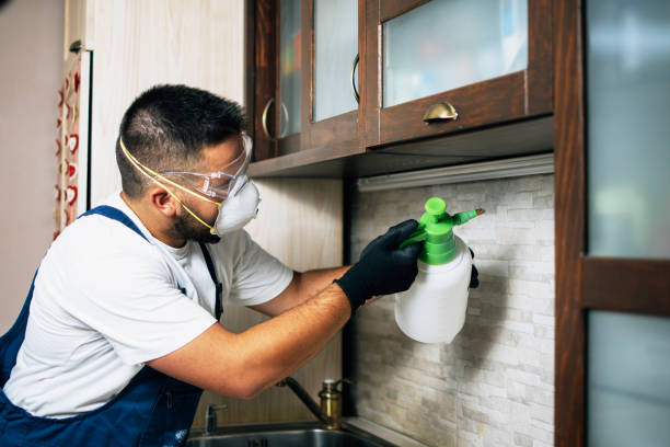 Reliable Athens, IL Pest Control Solutions