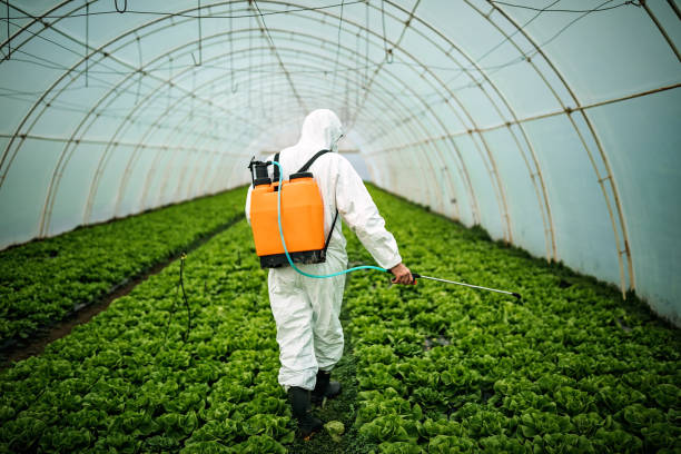 Best Pest Control Near Me  in Athens, IL