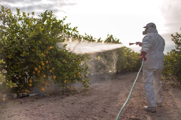 Best Best Pest Control Companies  in Athens, IL