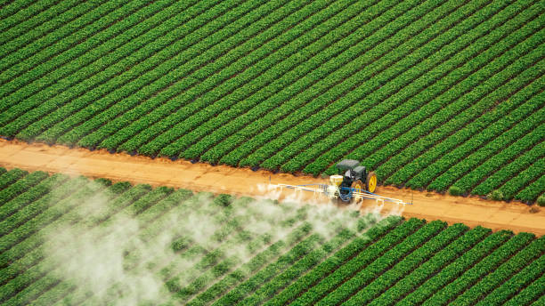 Best Local Pest Control Services  in Athens, IL