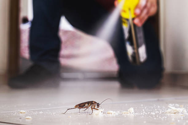Best Residential Pest Control  in Athens, IL