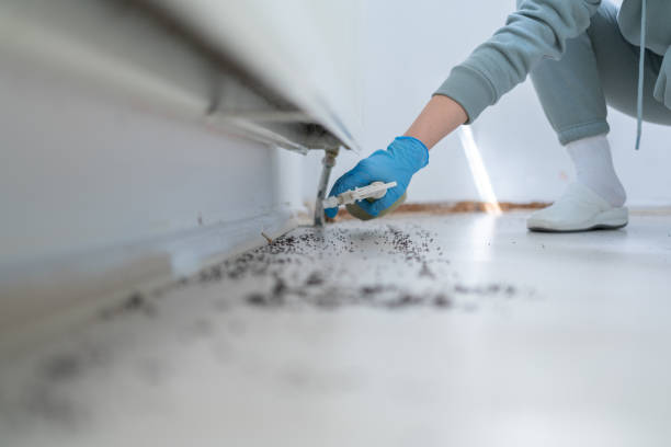 Best Mosquito Control Services  in Athens, IL