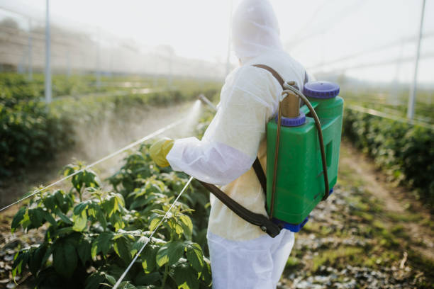 Best Insect Control  in Athens, IL